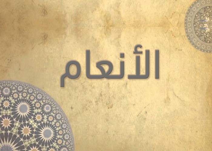 06- سورة الانعام -  أحمد خليل شاهين - رواية حفص عن عاصم